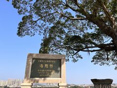-洛阳桥