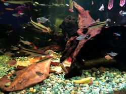 -青木造型HAIR·あおき髪を刈る潮人店