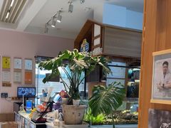 -可蒙动物医院·猫科·骨科中心(首义路店)