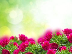 -吃户(玫瑰湾花园店)