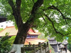 -中国观音故里广德景区