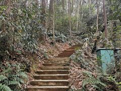 -九曜山