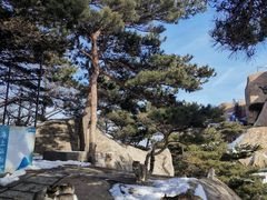 -崂山仰口游览区