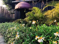 -花溪雨·森林餐厅(石基店)
