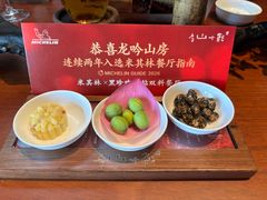 -龙吟山房(青龙山庄店)