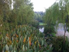 -杭州城北体育公园