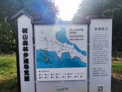 -树山生态村