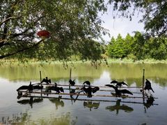 -长兴太湖图影湿地文化园