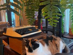 -BUND·FIVE外滩5号(天际店)