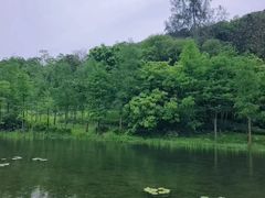 -云溪植物园