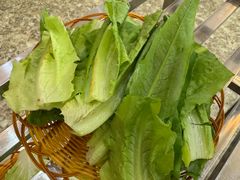 青笋尖-野生菌火锅(菌王村店)