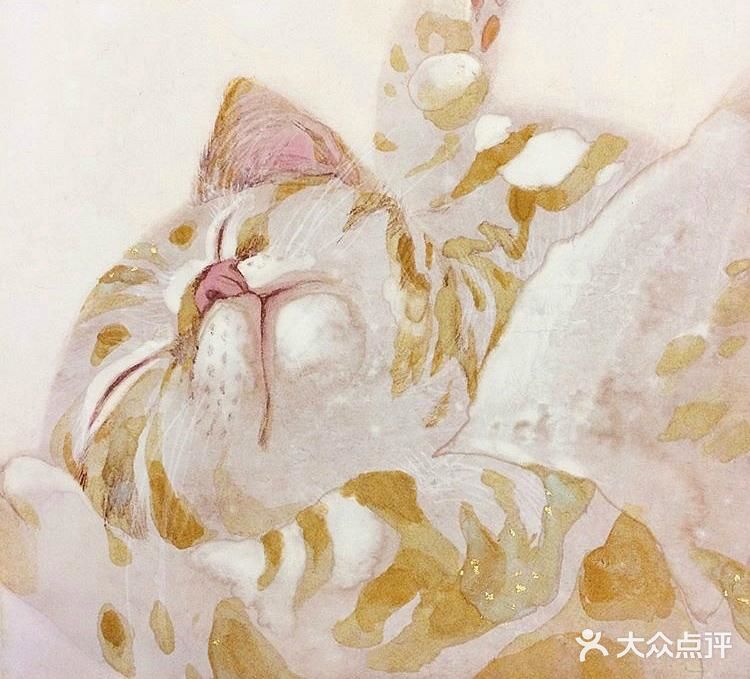 我想养猫猫，也想画猫猫