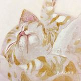 我想养猫猫，也想画猫猫