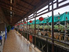 -崖口红树林海鲜餐厅