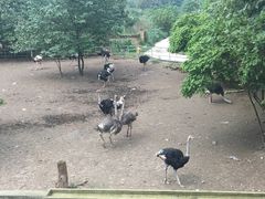 -乐和乐都动物主题乐园