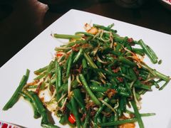 拍蒜茼蒿杆-天山醉美·新疆餐厅(富华里店)