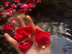 -厦门日月谷温泉渡假村