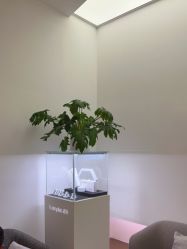 -Dr.U博士医疗美容医院