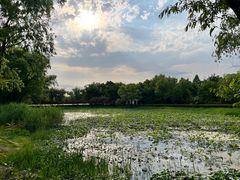 -西溪国家湿地公园