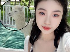 -水上乐园·欢乐世界