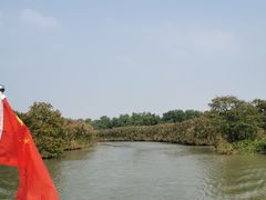 -大湾区中央湿地公园