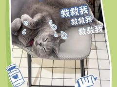 -ID.PHOTO照相馆(嘉里企业中心店)