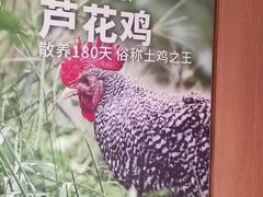 -俭寨大盘鸡·缸子肉·小公鸡·新疆菜(云通店)