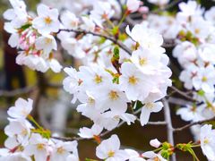 -公益图书馆(江南大学店)