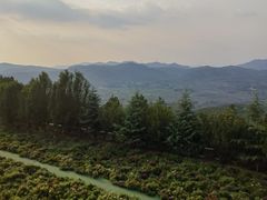 -开元溶洞