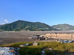 -北岐滩涂