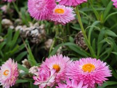 -福田红树林生态公园