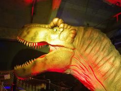 -恐龙探索乐园(磁器口店)