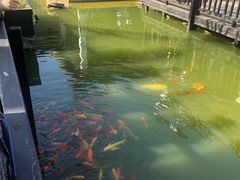 -武汉紫薇都市田园