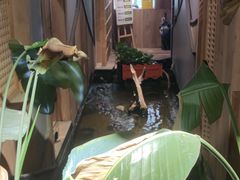 -邈墨茶馆(凤起路店)