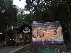 -宝莱纳啤酒花园餐厅PAULANER BRAUHAUS Nanjing(广州路店)