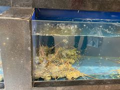-鹏天阁酒楼·海鲜(红旗店)