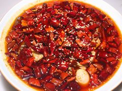 毛血旺-初蓉丨遇见新川菜(亲贤街荣耀店)