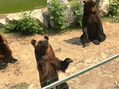 -石家庄市动物园