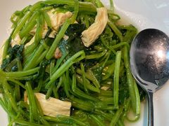红根菠菜炒鲜腐竹-船歌·鱼水饺青岛菜(闽江二路店)