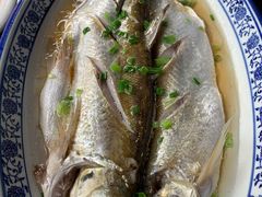 清蒸白水鱼-品渔味湖鲜馆(拈花湾店)