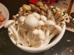 -協成海鮮火鍋(老店)