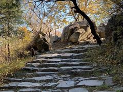 -阳台山自然风景区