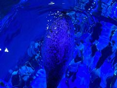-海合安青岛极地海洋公园