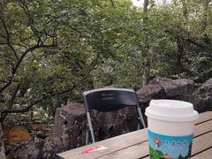 -灵岩山风景区