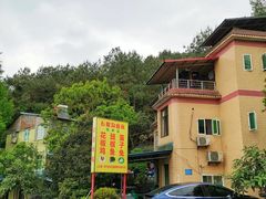 -铁山坪森林公园