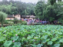 -韶山毛泽东同志故居