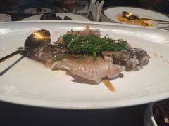 -福玺荟(外滩罗斯福店)