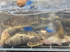 -西山人家·二十年老字号农家菜(旺山店)