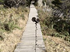 -白草畔自然风景区