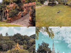 -西双版纳原始森林公园